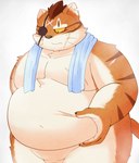 anthro belly domestic_cat dragon_quest eye_patch eyewear featureless_crotch felid feline felis fupa fur hi_res male mammal marumu_5656 musclegut muscular nude orange_body orange_fur overweight overweight_male pinching_belly purrgatroyd solo square_enix striped_body striped_fur stripes