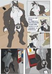 2024 4_toes 5_fingers abs anthro barazoku biceps big_muscles biped canid canine canis chastity_cage chastity_cage_only chastity_device chastity_device_only chinese_text comic countershade_fur countershading dragon0324r feet fingers fur grey_body grey_fur hi_res kneeling male mammal mature_male metal_chastity_cage muscular muscular_anthro muscular_male muscular_sub nude pecs public public_nudity solo speech_bubble submissive submissive_anthro submissive_male text toes translated white_body white_countershading white_fur wolf