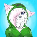 1:1 2014 anthro blue_eyes bust_portrait canid canine clothed clothing creeper_hoodie female fox fur heart_symbol hi_res hoodie icon jewelry looking_at_viewer mammal microsoft minecraft mojang nayel-ie necklace portrait shirowretched simple_background smile solo topwear white_body white_fur xbox_game_studios