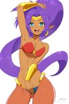 absurd_res blue_eyes breasts brown_body brown_skin cleavage clothed clothing ear_piercing ear_ring female genie hair hi_res humanoid humanoid_pointy_ears long_hair looking_at_viewer not_furry open_mouth open_smile piercing ponytail purple_hair revenant_(artist) ring_piercing shantae shantae_(series) signature simple_background smile solo translucent translucent_clothing wayforward