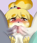 2024 animal_crossing anthro ball_fondling balls biped blonde_hair breasts canid canine canis domestic_dog fellatio female female_penetrated fondling genitals group group_sex hair heart_eyes heart_symbol hi_res isabelle_(animal_crossing) male male/female male_penetrating male_penetrating_female mammal mr-shin nintendo nude oral penetration penile penis raymond_(animal_crossing) sasha_(animal_crossing) sex shih_tzu thick_thighs threesome toy_dog yellow_body