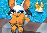 anthro bat blush breasts canid canine duo female fox hi_res leaning leaning_forward male male/female mammal miles_prower nipples nude pool rouge_the_bat sega shumpy sonic_the_hedgehog_(series)