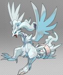 2024 blitzdrachin blue_eyes claws conditional_dnp dragon european_mythology feathered_wings feathers generation_5_pokemon legendary_pokemon mythological_creature mythological_scalie mythology nintendo pokemon pokemon_(species) reshiram ring scalie tagme western_dragon white_body wings wyvern