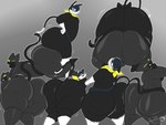 Rating: e
ID: 5540779
Date: 2025-05-01 00:44:19 -0400
Status: active
Score: 57
2025 anthro ass_to_ass balls belt big_balls big_butt black_body black_clover_(masterj291) black_fur black_tail blue_eyes butt butt_squish butt_touch clothing digital_media_(artwork) domestic_cat duo felid feline felis femboy fur genitals gradient_background grey_background hi_res huge_butt hyper hyper_butt kerchief looking_at_butt looking_at_viewer looking_back male male/male mammal markings mask masterj291 morgana_(persona) multiple_poses persona_(series) persona_5 pink_nose pose presenting presenting_hindquarters scarf simple_background sitting_on_another squish tail tail_markings thick_thighs tight_clothing tuxedo_cat white_body white_fur post #5540779
