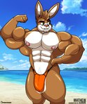 2024 abs anthro beach biceps big_arms big_biceps big_bulge big_muscles big_pecs bikini_thong blue_sky buckteeth bulge clothing cloud eyebrows flexing flexing_bicep fur glistening glistening_body green_eyes hair hi_res lagomorph leporid male mammal mathew_porter multicolored_body multicolored_fur muscular muscular_anthro muscular_male nipples orange_clothing orange_thong orange_underwear pecs pink_hair pinup pose pubes rabbit raised_eyebrow sand seaside sky smile smiling_at_viewer smirk smirking_at_viewer solo swimwear tan_body tan_fur tan_hair teeth thick_thighs thong two_tone_body two_tone_fur underwear white_body white_fur xmonstadogx