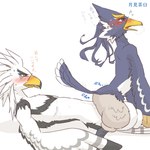 1:1 animal_genitalia anthro athletic athletic_anthro athletic_male avian beak blue_body blue_feathers blush breath_of_the_wild cloaca cloacal cloacal_penetration duo embarrassed feathers feet genitals japanese_text kusachi looking_pleasured male male/male nintendo nude on_bottom on_top penetration revali reverse_cowgirl_position rito sex talons teba_(tloz) text the_legend_of_zelda toes white_body white_feathers yellow_beak