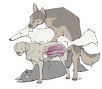 all_three_filled anal anal_knotting anal_penetration animal_genitalia animal_penis bladder bodily_fluids borzoi brown_body brown_fur canid canine canine_genitalia canine_penis canis causationcorrelation claws cum cum_in_ass cum_in_bladder cum_in_uterus cum_inside domestic_dog erection fallopian_tubes female female_penetrated feral feral_on_feral feral_penetrated feral_penetrating feral_penetrating_feral floppy_ears foursome fur genital_fluids genitals group group_sex guts hi_res hunting_dog internal internal_anal internal_urethral internal_vaginal intestines intraspecies knot knotting male male/female male_penetrating male_penetrating_female mammal oral oral_penetration organs ovaries paws penetration penile penile_penetration penis penis_in_ass penis_in_pussy penis_in_urethra pussy_sounding quadruped sex sighthound simple_background tail translucent translucent_body triple_knotting triple_penetration urethral urethral_knotting urethral_penetration urine uterus vaginal vaginal_knotting vaginal_penetration vein veiny_penis white_background white_body white_fur