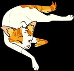 2020 alpha_channel ambiguous_gender character_name digital_drawing_(artwork) digital_media_(artwork) digitigrade domestic_cat eyebrows felid feline felis feral flat_colors full-length_portrait fur inner_ear_fluff lying mammal nifty-senpai orange_body orange_fur paws pink_inner_ear pink_nose portrait pouncetail_(riverclan) simple_background sleeping solo tail transparent_background tuft warriors_(book_series) white_body white_fur yellow_inner_ear_fluff