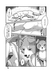 2023 absurd_res animal_genitalia animal_pussy anus azu_(momou_fox) balls black_and_white canid canine canine_genitalia canine_pussy canis censored comic digital_media_(artwork) domestic_dog duo female feral fluffy fluffy_tail fully_sheathed fur genital_focus genitals hi_res japanese_text lying male male/female mammal markings momou monochrome on_side pussy quadruped raining right_to_left sheath tail tail_markings text tongue translation_request