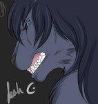 anthro black_body black_fur black_hair black_nose blue_eyes canid canine fangs_bared female fur hair mammal mistress-honey mythological_canine mythological_creature mythology solo transformation werecanid werecanine werecreature werewolf