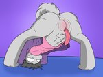 Rating: e
ID: 5377078
Date: 2025-02-16 10:51:49 -0500
Status: active
Score: 21
4:3 andromorph anthro anus big_clitoris blind bottomless butt clitoris clothed clothing disability genitals hi_res huge_clitoris hybrid intersex mikey6193 mikey_(mikey6193) presenting presenting_hindquarters presenting_pussy pubes pussy solo spread_legs spreading post #5377078