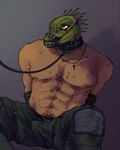post #5376644