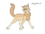 2023 4:3 ambiguous_gender barkfur_(artist) domestic_cat fan_character felid feline felis feral full-length_portrait fur hi_res male_(lore) mammal model_sheet portrait simple_background solo tan_body tan_fur warriors_(book_series) white_background