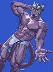 abs anthro bulge clothing domestic_cat eyewear felid feline felis hi_res lifewonders live_a_hero male mammal muscular muscular_anthro muscular_male natsunouro nipples one_eye_closed pecs solo speedo sunglasses swimwear thigh_strap tsuneaki wink