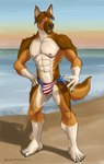 2017 5_fingers 5_toes abs american_flag american_flag_clothing american_flag_underwear anthro beach big_chest black_claws black_nose black_pawpads broad_shoulders brown_body brown_eyes brown_fur brown_hair bulge canid canine canis cheek_tuft claws clothed clothing day digital_drawing_(artwork) digital_media_(artwork) domestic_dog facial_tuft feet finger_claws fingers flag flag_clothing flag_print fluffy fluffy_tail fur german_shepherd hair hand_on_hip herding_dog humanoid_feet leg_markings looking_at_viewer male mammal markings multicolored_body multicolored_fur muscular muscular_anthro muscular_male nipples open_mouth outside pastoral_dog pawpads pecs pink_nipples plantigrade pose rail_dawg sampsonwoof sea serratus shaded signature socks_(marking) solo speedo speedo_only standing swimwear tail tan_body tan_fur teeth toe_claws toes tongue topless tuft united_states_of_america water white_body white_fur