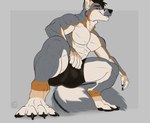 anthro bulge canid canine classicmuzzle_(artist) claws crouching digitigrade fluffy fluffy_tail looking_at_viewer low-angle_view male mammal muscular smile solo tail