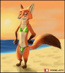 anthro bikini bikini_bottom bikini_top black_border border bulge canid canine clothed clothing crossdressing dipstick_tail disney fox fur hi_res link6432 male mammal markings midriff navel nick_wilde orange_body orange_fur red_fox simple_background solo string_bikini swimwear tail tail_markings true_fox two-piece_swimsuit zootopia