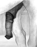 4:5 animal_genitalia animal_penis darkmare equid equine equine_genitalia equine_penis equine_sheath eunuch feral genital_focus genital_shot genitals graphite_(artwork) greyscale half-erect hi_res horse male mammal monochrome penis penis_shot quadruped realistic_feral sheath solo traditional_media_(artwork)