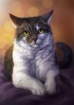 Rating: s
ID: 1408278
Date: 2017-12-23 20:59:57 -0500
Status: active
Score: 30
2017 ambiguous_gender bokeh digital_media_(artwork) domestic_cat felid feline felis feral fur grey_body grey_fur hi_res looking_at_viewer mammal paws photorealism solo whiskers white_body white_fur wolnir post #1408278