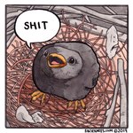 1:1 2019 ambiguous_gender avian beak bird black_body black_feathers comic comic_panel copyright_symbol cowbird dialogue english_text falseknees feathers feral icon icterid lol_comments looking_up meme nest one_panel_comic oscine passerine profanity reaction_image signature solo symbol talking_feral text traditional_media_(artwork) url young young_feral