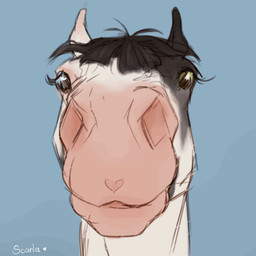 Rating: s
ID: 5706033
Date: 2025-07-13 12:22:46 -0400
Status: active
Score: 82
1:1 2d_animation ambiguous_feral ambiguous_gender animated black_mane blinking blue_background blue_eyes equid equine eyelashes female_(lore) feral frame_by_frame front_view green_eyes heterochromia horse mammal mane mouth_closed scarlanya short_playtime signature simple_background solo white_body post #5706033
