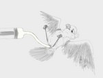 Rating: e
ID: 3279136
Date: 2022-04-14 21:18:00 -0400
Status: active
Score: 54
2022 4:3 absurd_res adamb/t2oa animal_genitalia artificial_insemination avian avian_butt beak bird bodily_fluids cloaca cum cum_in_cloaca cum_inflation cum_inside feathered_wings feathers female feral genital_fluids genitals hi_res inflation legs_up monochrome questionable_consent restrained signature simple_background sketch solo syringe tail tail_feathers wings post #3279136