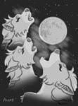 ais05 anthro braided_hair canid canine canis cosmic_background eyes_closed female fur grey_body grey_fur hair hi_res howl inner_ear_fluff mammal meme monochrome moon parody solo starry_background three_wolf_moon tuft white_body white_fur wolf ylva