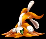 Rating: s
ID: 358706
Date: 2013-07-30 10:33:23 -0400
Status: active
Score: 109
2013 alpha_channel anthro bat chest_tuft digital_media_(artwork) dust:_an_elysian_tail female fidget_(elysian_tail) fizzy-dog fur green_eyes mammal nimbat nude one_eye_closed orange_body orange_fur shaded simple_background solo transparent_background tuft upside_down white_body white_fur post #358706