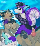 Rating: e
ID: 3104714
Date: 2022-01-03 18:08:13 -0500
Status: active
Score: 170
2021 absurd_res air_bubble anal anal_penetration animal_genitalia animal_penis anthro anthro_on_feral anthro_penetrated bestiality blue_nose blue_penis bodily_fluids brown_body brown_fur canid canine canine_genitalia canine_penis cowgirl_position cum cum_in_ass cum_inside cum_while_penetrated cumshot duo ejaculation erection feral feral_on_bottom feral_penetrating feral_penetrating_anthro from_front_position fully/fully_submerged fully_submerged fur genital_fluids genitals hi_res holding_breath horitoy intraspecies intraspecies_bestiality knot male male/male mammal masturbation nude on_bottom on_top pawpads paws penetration penile penile_masturbation penile_penetration penis penis_in_ass purple_body purple_fur sex sex_in_water sheath underwater underwater_sex water post #3104714