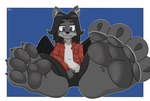 Rating: q
ID: 5513843
Date: 2025-04-19 01:19:42 -0400
Status: active
Score: 26
anthro ash_clinker black_hair black_wings blue_eyes burtreex canid canine canis claws curling_toes feet flannel foot_fetish foot_focus fur grey_body grey_fur hair hi_res long_hair male mammal pawpads paws simple_background smile smug smug_expression smug_face smug_grin solo toe_claws wings wolf post #5513843