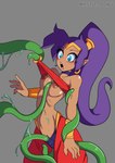 5_fingers absurd_res areola breasts female fingers genitals hair hi_res humanoid humanoid_pointy_ears long_hair mystic_dong nipples not_furry ponytail purple_hair pussy shantae shantae_(series) solo tentacles wayforward