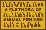 2_penises a_plethora_of_penises animal_genitalia animal_penis balls border canine_genitalia canine_penis disembodied_penis equine_genitalia equine_penis erection feline_genitalia feline_penis genitals group hemipenes hi_res kaiza_teira male multi_genitalia multi_penis penis penis_everywhere penis_sheet silhouette tapering_penis unusual_anatomy unusual_genitalia unusual_penis yellow_border