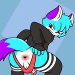 1:1 angry anthro anus anus_focus azu_(oc) balls butt butt_focus canid canine clothed clothing collar digital_media_(artwork) footwear fox fur genitals hair hi_res looking_back lyncario male mammal nude penis simple_background socks solo spread_anus spreading tail thong underwear