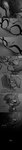Rating: q
ID: 5552781
Date: 2025-05-06 11:09:32 -0400
Status: active
Score: 8
absurd_res abuse abusive blush bodily_fluids bulge bulge_grab comic crying deep_kiss drooling duo english_text eviltqf extreme_french_kiss female forced french_kissing gynomorph heart_symbol helluva_boss hi_res incest_(lore) intersex intersex/female kissing long_image long_tongue millie_(helluva_boss) monochrome neck_bulge saliva sallie_may_(helluva_boss) sibling_(lore) sister_(lore) tall_image tears text tongue post #5552781