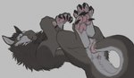 Rating: e
ID: 5602716
Date: 2025-05-27 16:25:43 -0400
Status: active
Score: 98
2025 animal_genitalia animal_pussy anus black_claws canine_genitalia canine_pussy chest_tuft claws dragon female feral fluffy fur furred_dragon furred_scalie genitals grey_body grey_fur hi_res hybrid intersex_(lore) mythological_creature mythological_scalie mythology neck_tuft pawpads penetration pink_anus pink_pawpads pink_pussy pussy scalie sex silas_zeranous solo tail tail_fetish tail_in_pussy tail_insertion tail_play tail_sex tuft vaginal vaginal_penetration yaroul post #5602716