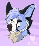 Rating: s
ID: 4467128
Date: 2023-12-11 21:43:32 -0500
Status: active
Score: 4
2019 ambiguous_form ambiguous_gender black_markings black_nose blep blue_hair blue_tongue canid canine cel_shading cheek_tuft circle_eyebrows digital_drawing_(artwork) digital_media_(artwork) ear_piercing eyebrows eyes_closed facial_tuft fangs freckles fur gauged_ear hair headshot_portrait hi_res industrial_piercing maligaytor mammal markings paint_tool_sai_(artwork) piercing plug_(jewelry) portrait purple_background shaded simple_background smile snout solo tan_body tan_fur teeth tongue tongue_out tuft undercut white_body white_fur post #4467128