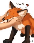 Rating: s
ID: 3639314
Date: 2022-10-20 16:26:03 -0400
Status: active
Score: 99
2022 ambiguous_gender black_body black_fur black_nose canid canine digital_drawing_(artwork) digital_media_(artwork) duo feral flashw fox fur heart_symbol human mammal orange_body orange_fur red_fox simple_background smile true_fox uwu white_background white_body white_fur post #3639314