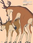 2023 anal anal_penetration antlers balls brown_body brown_fur butt cloven_hooves deer digital_media_(artwork) duo feral feral_on_feral feral_penetrated feral_penetrating feral_penetrating_feral from_behind_position fur genitals hi_res hooves horn intraspecies lizardlars male male/male male_penetrated male_penetrating male_penetrating_male mammal mounting multicolored_body multicolored_fur penetration quadruped sex simple_background spitey subscribestar tan_background tan_balls tan_body tan_fur two_tone_body two_tone_fur