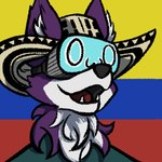 1:1 ambiguous_gender anthro canid canine canis clothing colombia colombian_flag critters_collective flag flag_background happy hat headgear headwear logo mammal open_mouth owo solo sombrero sydney_onmars vr_headset wolf