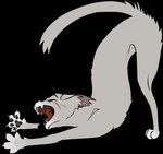 2020 alpha_channel ambiguous_gender ashfur_(shadowclan) black_text black_whiskers character_name claws digital_drawing_(artwork) digital_media_(artwork) digitigrade domestic_cat elderly_feral eyebrows eyes_closed fangs felid feline felis feral flat_colors full-length_portrait fur grey_body grey_fur grey_pawpads mammal nifty-senpai notched_ear open_mouth pawpads paws portrait raised_tail red_tongue side_view simple_background solo stretching tail teeth text tongue transparent_background warriors_(book_series) whiskers yawn