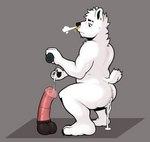 absurd_res animal_dildo animal_sex_toy anthro arm_tuft bear bear_tail black_nose bodily_fluids bored breath butt chin_tuft colored crouching digital_drawing_(artwork) digital_media_(artwork) dildo ear_piercing ear_ring equine_dildo facial_piercing facial_tuft fingers frown fur glint gold_(metal) gold_jewelry hi_res jewelry looking_down looking_down_at_object looking_down_at_penis looking_tired lube lube_bottle lube_drip lube_in_ass lube_on_dildo lube_on_hand lube_on_sex_toy lube_string male mammal mothyking neck_tuft nikto_(mothyking) nose_piercing nose_ring nude piercing plantigrade polar_bear portrait ring_piercing sex_toy shaded short_tail shoulder_tuft side_view simple_background slightly_chubby slightly_chubby_male solo squatting_position tail tired tired_eyes tuft ursine white_body white_fur