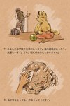 2018 2:3 ambiguous_gender biped cat_toy clothed clothing digital_drawing_(artwork) digital_media_(artwork) duo elemental_creature felid feral generation_1_pokemon graveler hair hi_res human japanese_description japanese_text koike_09 mammal mineral_fauna nintendo persian_(pokemon) pokemon pokemon_(species) restricted_palette rock rock_creature tail text translation_check translation_request