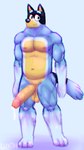 anthro australian_cattle_dog balls bandit_heeler big_penis bluey_(series) bodily_fluids canid canine canis cattledog circumcised cum cum_drip domestic_dog dripping erection genital_fluids genitals herding_dog hi_res huge_penis humanoid_genitalia humanoid_penis leg_markings looking_at_viewer luxoh male male_anthro mammal markings married musclegut muscular muscular_anthro muscular_male navel nervous nipples pastoral_dog pecs penis presenting saggy_balls solo stare thigh_markings vein veiny_penis