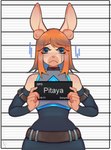 anthro barbie_and_ken_mugshot_meme bare_shoulders bodily_fluids crying female freakster fur hair hi_res holding_object holding_sign inner_ear_fluff lagomorph leporid mammal meme mugshot multicolored_body multicolored_fur orange_hair pitaya_taiga rabbit sad sign solo tears three-quarter_view tuft two_tone_body two_tone_fur unnecessary_belts