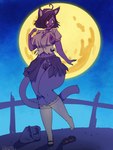 anthro big_breasts bottomwear breasts clothed clothing domestic_cat felid feline felis female footwear fullmontis hi_res high_heels looking_back mammal moon night no_underwear pubes shirt shoes skirt socks solo thick_thighs topwear torn_clothing