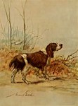 Rating: s
ID: 5552249
Date: 2025-05-06 02:18:51 -0400
Status: active
Score: 4
1910 20th_century ambiguous_gender ancient_art bird_dog black_nose brown_body brown_fur canid canine canis day domestic_dog english_springer_spaniel feral floppy_ears full-length_portrait fur group hunting_dog mammal maud_earl mouth_closed multicolored_body multicolored_fur outside portrait shaded side_view signature snout soft_shading solo_focus spaniel standing tail traditional_media_(artwork) trio two_tone_body two_tone_fur white_body white_fur post #5552249