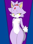 3:4 absurd_res anthro areola blaze_the_cat felid feline female forehead_gem fur gem hi_res hikaridraws mammal navel nude purple_body purple_fur red_areola sega solo sonic_the_hedgehog_(series) yellow_eyes