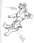 2001 acting_like_a_dog anthro border_collie bottomless button_ears canid canine canis claws clothed clothing collie crop_top domestic_dog eyebrows fangs finger_claws floppy_ears frisbee full-length_portrait fur greyscale herbie_bearclaw herding_dog hindpaw jumping male mammal midair monochrome open_mouth pastoral_dog pawpads paws pen_(artwork) playing portrait sheepdog shirt signature simple_background sketch snout solo tail tank_top teeth toe_claws tongue topwear traditional_media_(artwork) whisker_spots white_background