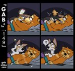 anthro base_two_layout bed black_body black_fur boxer_briefs canid canine canis cellphone chow_chow clothing comic confusion cuddling dialogue domestic_dog dropping_object duo electronics eyes_closed eyewear faking_sleep four_frame_grid four_frame_image fur furniture gab_(comic) gabshiba glasses green_clothing green_underwear grid_layout herding_dog holding_cellphone holding_object holding_phone korg_(gabshiba) male male/male mammal orange_body orange_fur pain pastoral_dog phone pictographics pillow purple_clothing purple_underwear question_mark regular_grid_layout romantic romantic_couple sleeping spitz startled two_row_layout underwear wang_chow welsh_corgi