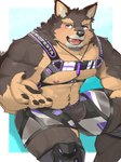 abs absurd_res anthro bottomwear brown_body brown_fur bulge canid canine canis clothing domestic_dog fur harness hi_res jewelry kannepaz lifewonders live_a_hero male mammal muscular muscular_anthro muscular_male necklace nipples pawpads pecs pubraseer purple_eyes shorts smile solo